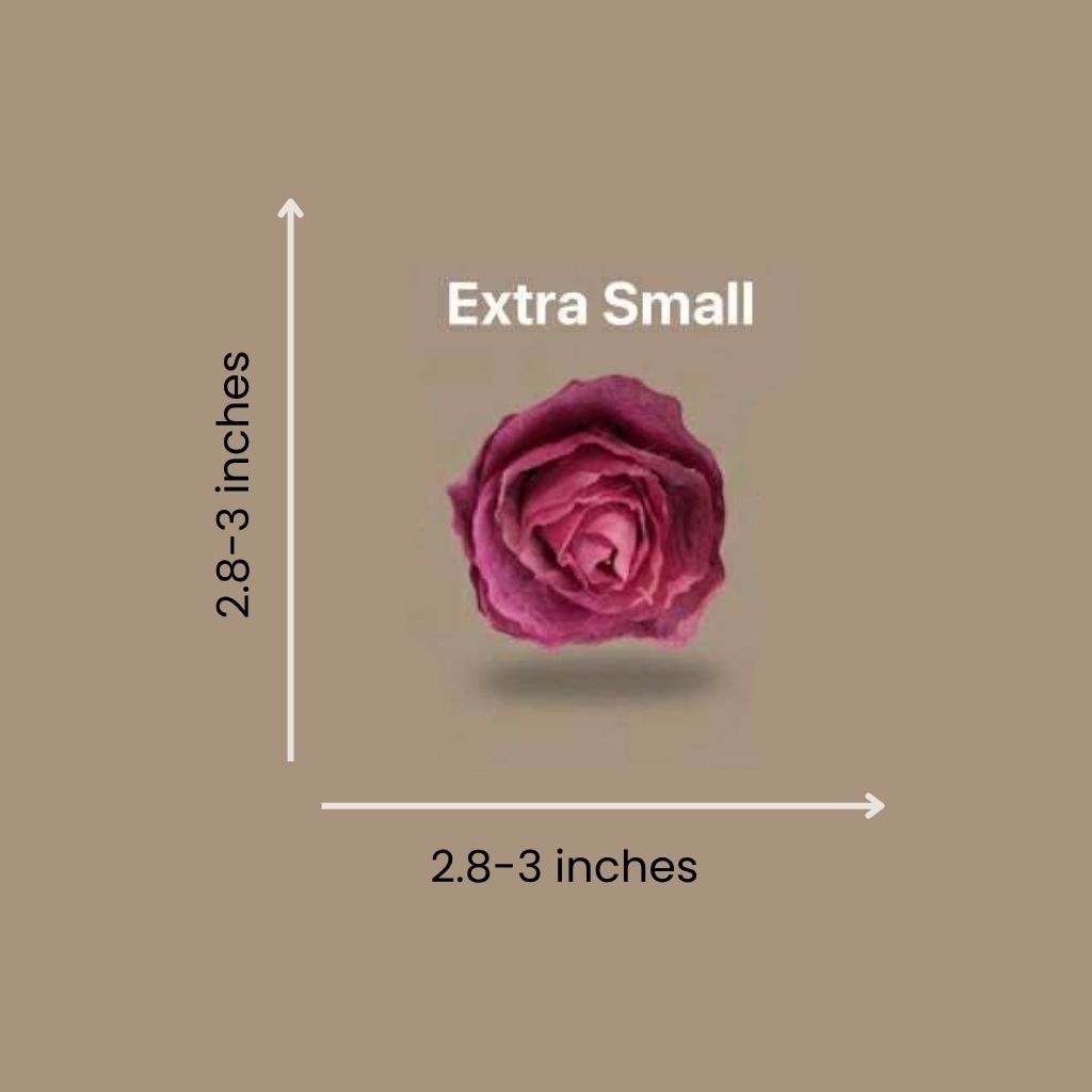 Fossilized Extra Small